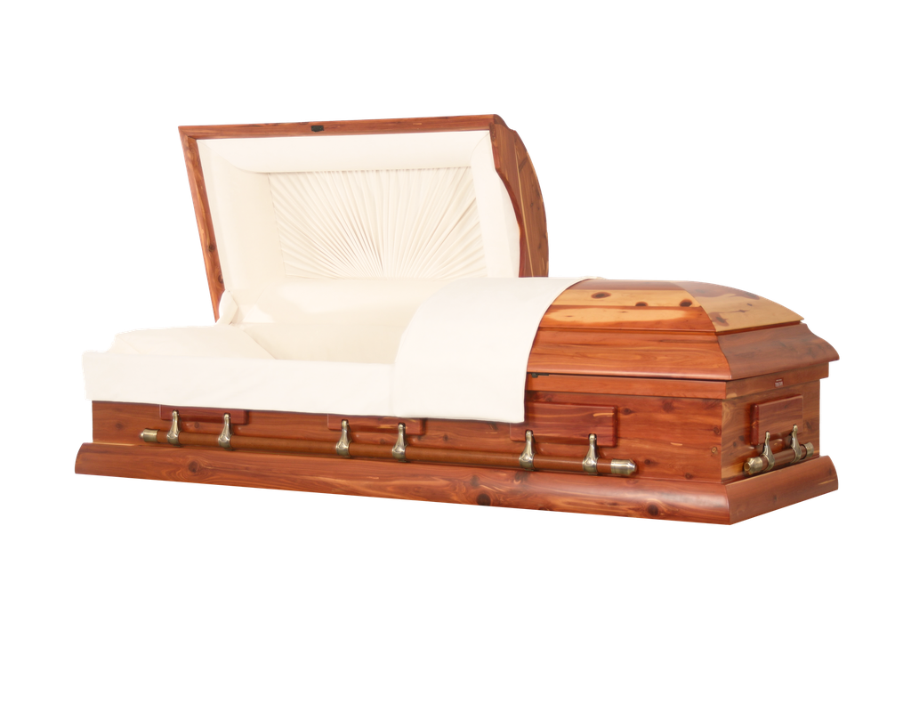 Northern Cedar